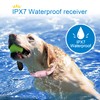Bousnic Dog Shock Collar for 2 Dogs - (8-120lbs) Waterproof