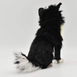 BH6504 HANSA Chihuahua 31