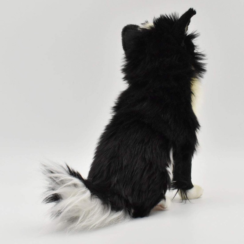 BH6504 HANSA Chihuahua 31