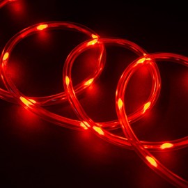 WYZworks 25ft Red LED Outside Rope Light - 8 Modes, Waterproof Permanent Outdoor Accent Lighting w/Remote, Flexible Clear Tube, ETL Certified, Garden, Patio, Holiday Christmas, Palm Tree, Ambient