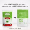 Pasto De Trigo Orgánico En Polvo 150g Vizana Nutrition