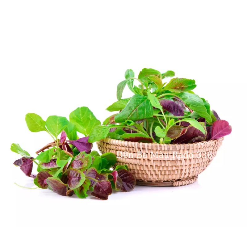 KS STORE 2000+PCS GARNET AMARANTH SEEDS/ RAU DỀN BA MÀU