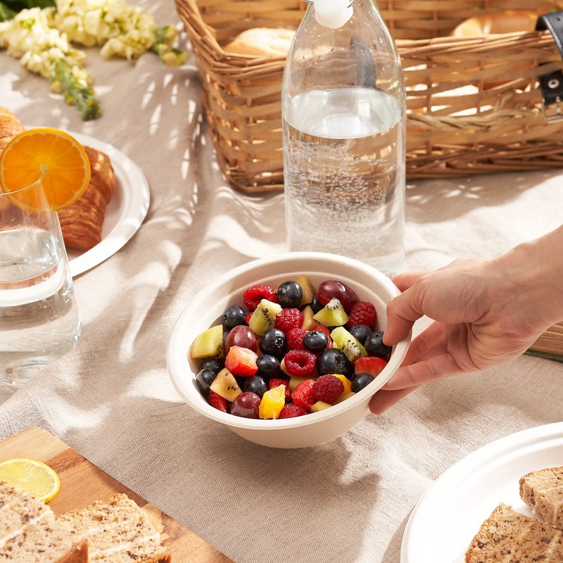 HAAGO 300 Environmentally Friendly Sugar Cane Bowls Biodegradable & Compostable