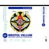 Borden & Riley 19" x 24" #120V Bristol Vellum Pad,