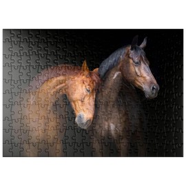 MyPuzzle Two Horses on a Black Background - Premium 200 Piece Puzzle - MyPuzzle Special Collection by Puzzle Galaxy
