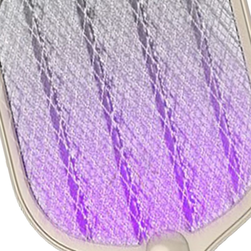 Electric Fly Swatter USB Charging 2 in 1 Fly Killer