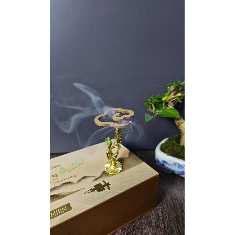 Dragons Blood Flower Cloud Shaped Incense