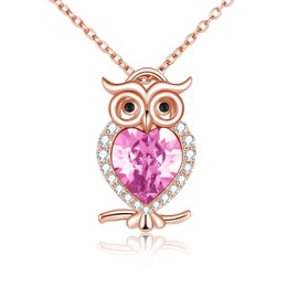 WINNICACA Women's Owl Necklace S925 Sterling Silver with Birthstone Pendant Cute Animals Jewellery Gifts for Women Girls Owl Lovers, Sterling Silver, Cubic Zirconia