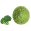 Broccoli Concentrate Powder 1kg