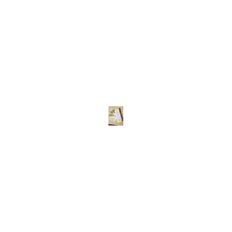 올바르다 EGF 시카 판테놀 세라마이드 피부진정 속건조보습 자생크림50ml Olive EGF