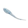 Small Fry White Blue