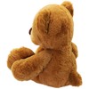 Anico 13" Pick-A-Pet Plush Bear