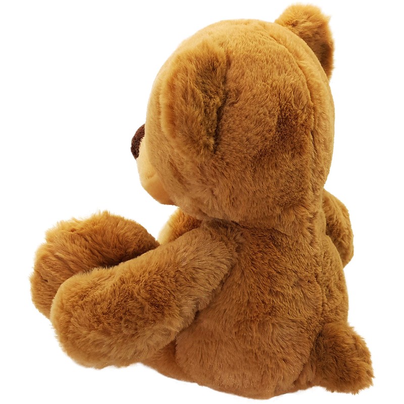 Anico 13" Pick-A-Pet Plush Bear