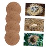 DRESSOOS 10pcs Pigeon Nest Pads Natural Palm Fiber Bird Nest