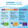 pro natura Lactrase 6000 – 100 Lactase Kapseln bei Lactose-Intoleranz,