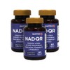 Nad Resveratrol Quercetina Vitamina Suplemento Pack 3x60 Cápsulas