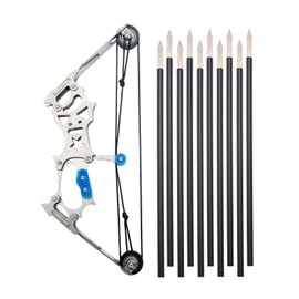 Mini Compound Bow and Arrow Set Mini Compound Bow Mini Bow and Arrow for Hunting Shooting Practice Archery Entertainment Fun