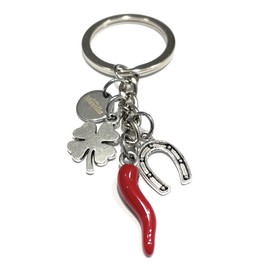 Mavilla Fashion Stainless Steel Keyring Pendant with Lucky Horseshoe and Horseshoe Made in Italy, Roy