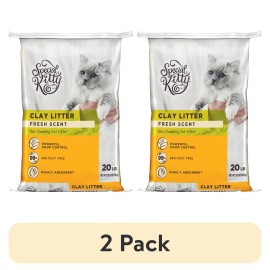 (2 pack) Special Kitty Non-Clumping Clay Fresh Scent Litter,99% Dust Free,20 lb