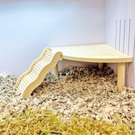 Wave Ladder - Fun & Unique Cage Accessory for Hamsters, Gerbils, Mice, Rats, Degus and Other Small Animals (Medium)