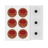 100% Painful Paste Fuji Lava Rock 200mT 96 Grain Magnetic