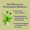 Sauna Infusion Lemongrass – Basil 1 Litre