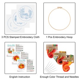 Louise Maelys 3 Sets Pumpkin Embroidery Kits for Beginners,Cross Stitch Kits for Adults,DIY Starters Needlepoint Kits with Fall Flower Wreath Pattern,Including Embroidery Instruction