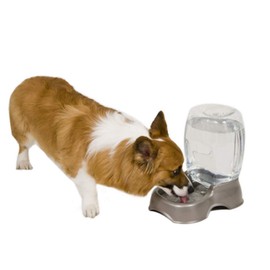 Petmate Pet Cafe Gravity Waterer Cat and Dog Water, Pearl Ash Blue,1.5 GAL