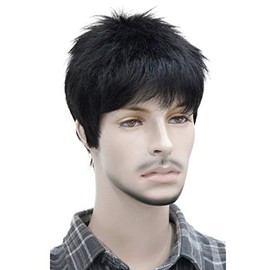 Lydell Men's Wig Natural Black/Brown Short Straight Hair Synthetic Full Wigs (Natural Black)