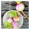 Purple Top Heirloom Turnip Seeds