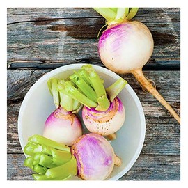 Purple Top Heirloom Turnip Seeds
