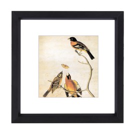 BKABOT 3x3 Picture Frame, Black Metal Square Photo Frames with HD Glass, Fits 2x2 with Mat or 3 x 3 without Mat, Display for Wall and Table, 1 Pack