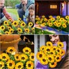 KOOPER Solar Lights Outdoor Decor - Upgraded 3 Pack Solar