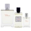 Terre DHermes Eau Givree by Hermes for Men - 3