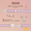 Cat Collars, Set of 2, Cat Collars, Safety Buckle with