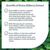 BRONX HEALTH BRONX Bilberry Extract 400 Capsules 8000mg (100:1) Wild