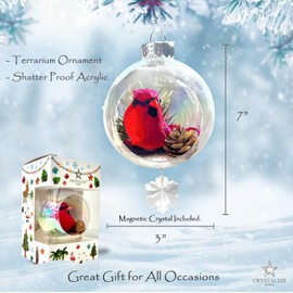 Crystalize Home - Cardinal Christmas Ornaments - Red Bird Ornaments for Christmas Tree - Birthday, for Mom, Dad, Sister and Friends - Crystal Red Cardinal Ornament for Christmas Tree