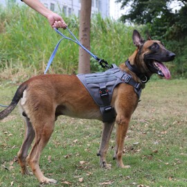 ICEFANG Tactical Dog Harness with 4X Metal Buckle,Working Dog MOLLE K9 Vest with Handle,No Pulling Front Clip,Adjustable Pet Harness for X-Large Dogs (XL (32"-39" Chest), Grey)