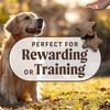Merrick Power Bites Salmon Recipe Healthy Dog Treats, Real Salmon