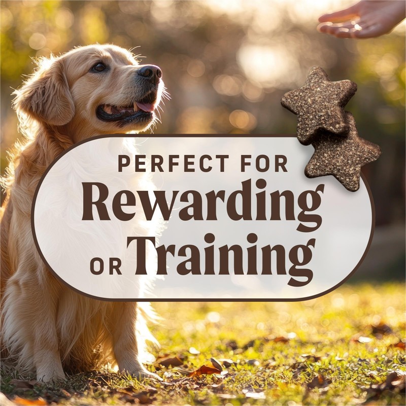 Merrick Power Bites Salmon Recipe Healthy Dog Treats, Real Salmon