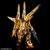 RG 1/144 Akatsuki Gundam Shiranui Pack & HG Zeus Silhouette