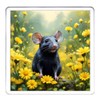 Rat Coaster Set. 4 different Rat Pictures on 10cm x