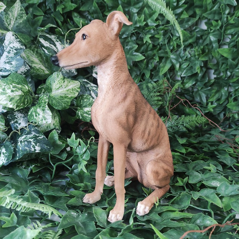 Vivid Arts - Whippet - XRL-WHIP-D