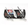 EVOLVING Kit Tijeras Silver 6 Pulgadas Barbero Estilista Evolving