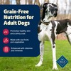 Blue Buffalo Freedom Grain-Free Dry Dog Food, Complete & Balanced