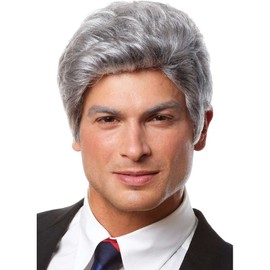 Mr. President Grey Wig Costume Accessory