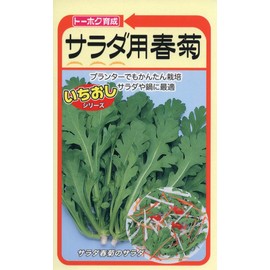 to-hoku Salad For 春菊