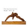 Dlengyanmi 4 Pieces Aquarium Decorative Driftwood - Multi-Purpose Driftwood for