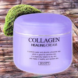ZIGOT Skin Conditioning Skin Tone Up Collagen Healing Cream Skin Moisturizing Nutrition Cream 1ea 100ml / 지고트 피부컨디셔닝 피부톤업 콜라겐 힐링크림 피부보습 영양크림 1개 100ml