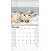Kittens 2026 Full Size Wall Calendar for Planning, Scheduling, and